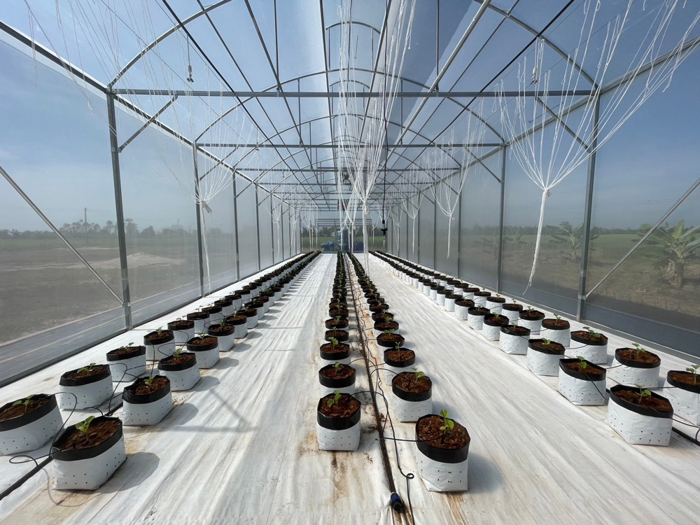เปิดตัว “เกษตรทิพย์ฟาร์ม” ต้นแบบ Smart Farm ในเขตภาคตะวันออกเฉียงเหนือ