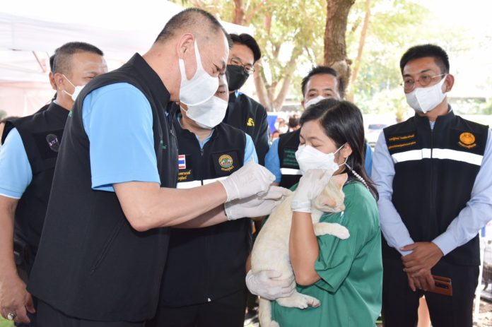 “เฉลิมชัย” ส่งสุขปีใหม่ 2566 แด่คนรักหมาแมวทั่วประเทศ มอบกรมปศุสัตว์ Kick Off ทำหมัน-ฉีดวัคซีนฟรี 21 ธ.ค.นี้