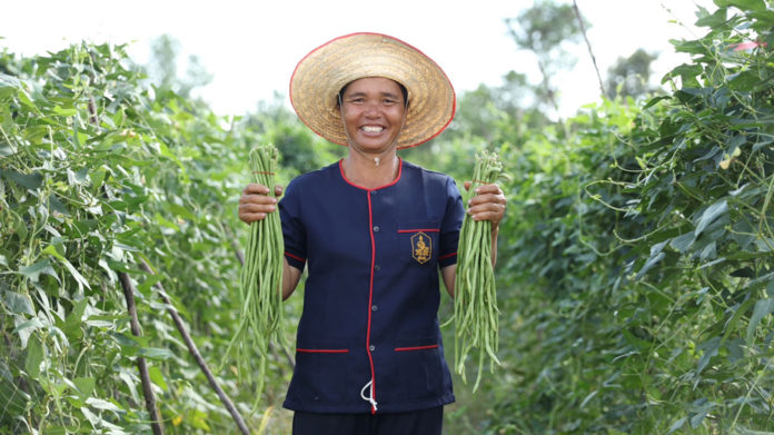 เกษตรกรยิ้มร่า - โลตัส เดินหน้าขยายโครงการรับซื้อผลผลิตตรงจากเกษตรกร