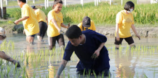 นายณัฐภัทร สุวรรณประทีป ผู้ว่าราชการจังหวัดสุพรรณบุรี