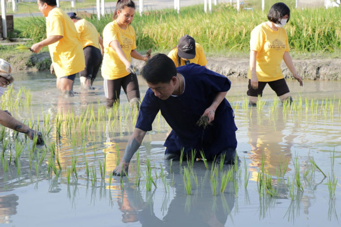 นายณัฐภัทร สุวรรณประทีป ผู้ว่าราชการจังหวัดสุพรรณบุรี