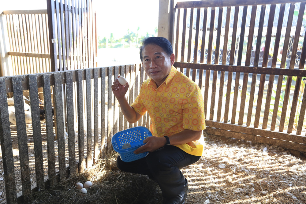 ผู้ว่าราชการจังหวัดสุพรรณบุรี เก็บไข่เป็ด