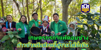 ธ.ก.ส. หนุนกลุ่มเกษตรกรผู้ผลิตกาแฟดอยช้าง ก้าวข้ามกับดักหนี้ สู่การสร้างอาชีพ สร้างรายได้อย่างยั่งยืน