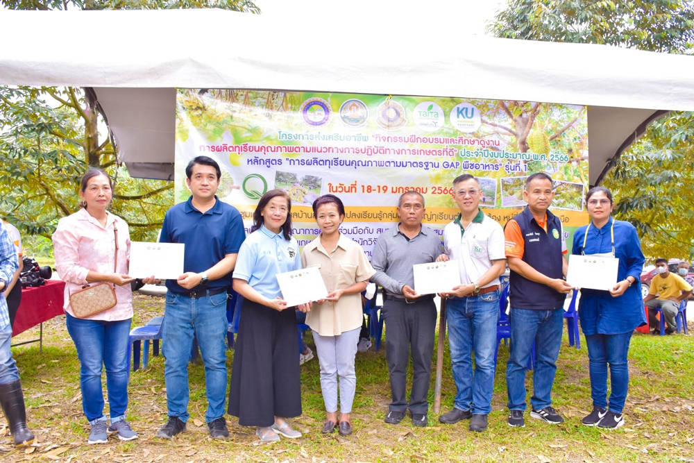 “ทฤษฎีขากิ้งกือ” กับการเร่งสร้าง – พัฒนาทุเรียนใต้เมืองคนดีให้มีคุณภาพ
