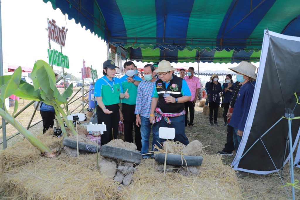 กรมส่งเสริมการเกษตร เดินหน้ารณรงค์หยุดเผาในพื้นที่การเกษตร เสริมสร้างความรู้เกษตรกร จ.เพชรบุรี