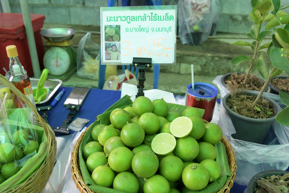 จังหวัดนนทบุรี เปิดงานวันถ่ายทอดเทคโนโลยีเพื่อเริ่มต้นฤดูกาลผลิตใหม่ (Field Day) ปี 2566