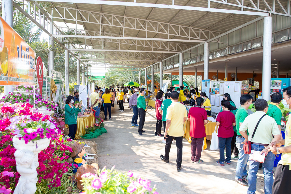 จังหวัดนนทบุรี เปิดงานวันถ่ายทอดเทคโนโลยีเพื่อเริ่มต้นฤดูกาลผลิตใหม่ (Field Day) ปี 2566