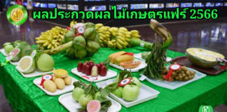 ผลประกวดผลไม้ งานเกษตรแฟร์ ประจำปี 2566