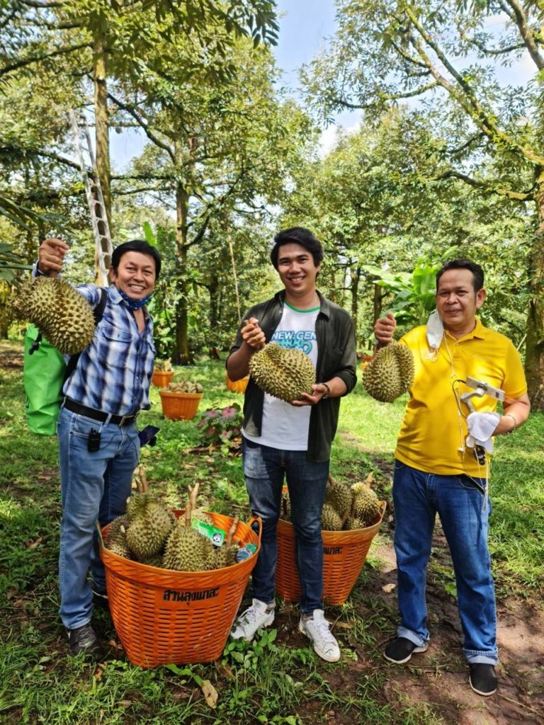 ประกาศวันเก็บเกี่ยวทุเรียนภาคตะวันออก 3 จังหวัด