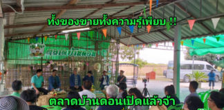 “ตลาดบ้านดอน” ตลาดวิถีชุมชนแห่งใหม่ จ.สุพรรณบุรี เปิดเสาร์-อาทิตย์ ของกินของขายเพียบ แถมถ่ายทอดความรู้อีกด้วย