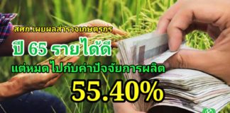 สศก. เผยปี 65 เกษตรกรไทยมีรายได้ 206,310 บาท/ปี แต่ก็หมดไปกับค่าปุ๋ยยาฯ 55.40%