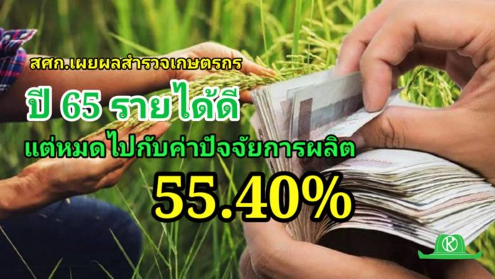 สศก. เผยปี 65 เกษตรกรไทยมีรายได้ 206,310 บาท/ปี แต่ก็หมดไปกับค่าปุ๋ยยาฯ 55.40%