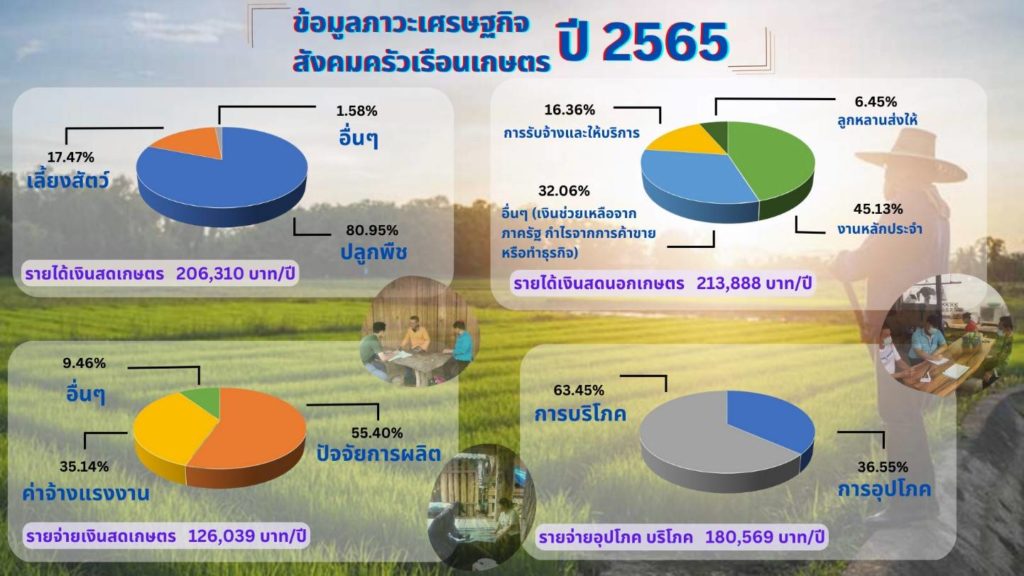 สศก. เผย ผลสำรวจข้อมูลภาวะเศรษฐกิจสังคมครัวเรือนเกษตร ปี 65 ระบุ เกษตรกรไทย มีรายได้เงินสดทางการเกษตรเฉลี่ย 206,310 บาท/ปี