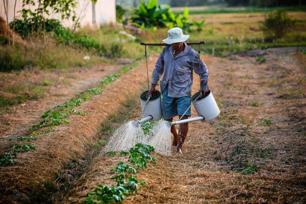 สศก. เผย ผลสำรวจข้อมูลภาวะเศรษฐกิจสังคมครัวเรือนเกษตร ปี 65 ระบุ เกษตรกรไทย  มีรายได้เงินสดทางการเกษตรเฉลี่ย 206,310 บาท/ปี