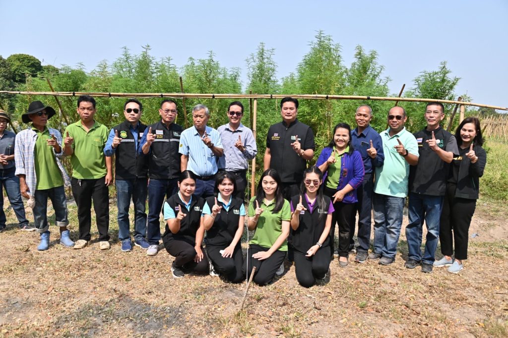 กรมวิชาการเกษตร จับมือ มหาวิทยาลัยเทคโนโลยีสุรนารี ลงพื้นที่ติดตามความร่วมมือการวิจัยและพัฒนาสายพันธุ์กัญชา