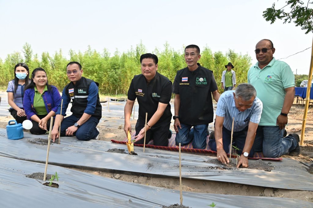 กรมวิชาการเกษตร จับมือ มหาวิทยาลัยเทคโนโลยีสุรนารี ลงพื้นที่ติดตามความร่วมมือการวิจัยและพัฒนาสายพันธุ์กัญชา