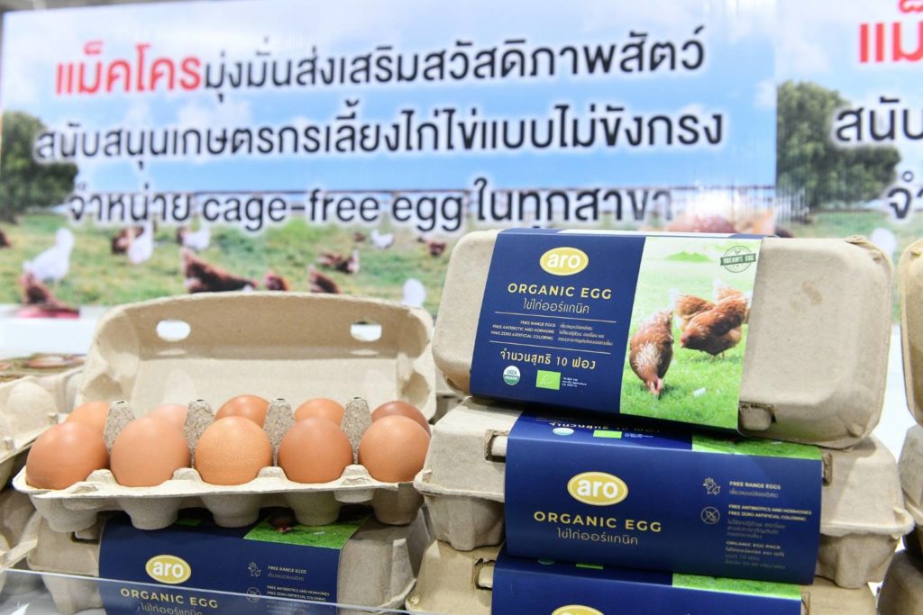 ‘แม็คโคร’ เดินหน้าส่งเสริมสวัสดิภาพสัตว์ จับมือพันธมิตรผลิตไข่ไก่จากแม่ไก่อารมณ์ดี ตั้งเป้าขยายการรับซื้อ-จำหน่าย ในราคาที่เอื้อมถึงได้แก่ผู้บริโภคและผู้ประกอบการ