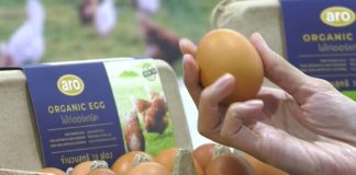 ‘แม็คโคร’ เดินหน้าส่งเสริมสวัสดิภาพสัตว์ จับมือพันธมิตรผลิตไข่ไก่จากแม่ไก่อารมณ์ดี ตั้งเป้าขยายการรับซื้อ-จำหน่าย ในราคาที่เอื้อมถึงได้แก่ผู้บริโภคและผู้ประกอบการ