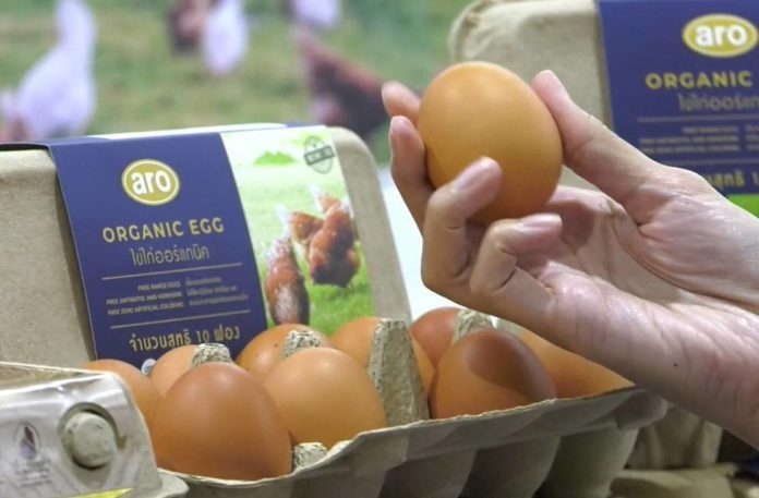 ‘แม็คโคร’ เดินหน้าส่งเสริมสวัสดิภาพสัตว์ จับมือพันธมิตรผลิตไข่ไก่จากแม่ไก่อารมณ์ดี ตั้งเป้าขยายการรับซื้อ-จำหน่าย ในราคาที่เอื้อมถึงได้แก่ผู้บริโภคและผู้ประกอบการ