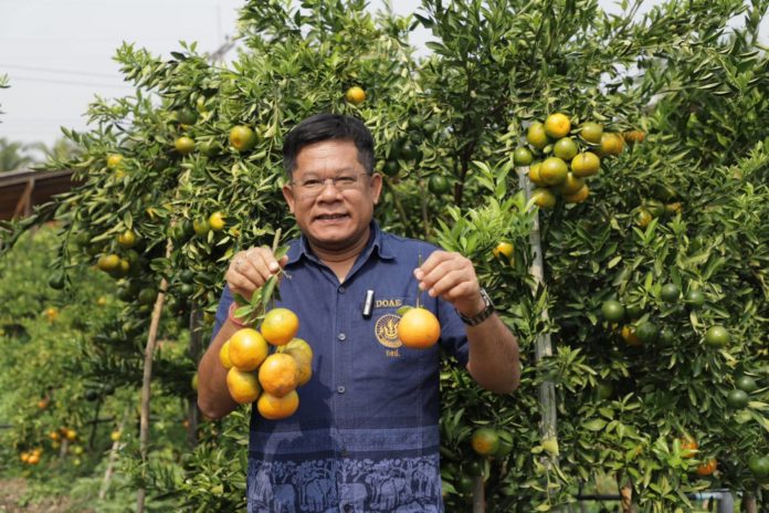 นายรพีทัศน์ อุ่นจิตตพันธ์ รองอธิบดีกรมส่งเสริมการเกษตร โชว์ส้มปลอดภัย “Safe Use Safe Orange”