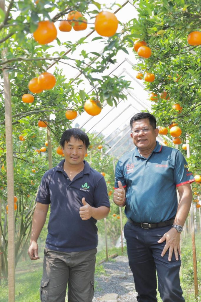 ชูสวนส้มปลอดภัยเชียงใหม่ต้นแบบเชื่อมโยงเศรษฐกิจ BCG Model