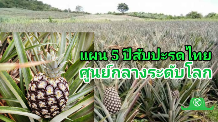 ปีนี้ไทยผลิตสับปะรดปัตตาเวียได้ 1.65 ล้านตัน เผยแผนพัฒนา 5 ปี สู่ศูนย์กลางระดับโลก