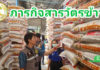 ตรวจสอบกระสอบบรรจุเมล็ดพันธุ์ข้าวเปลือก