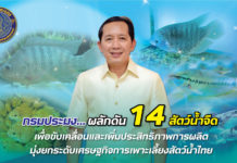 นายเฉลิมชัย สุวรรณรักษ์ อธิบดีกรมประมง ผลักดัน 14 สัตว์น้ำจืด มุ่งยกระดับเศรษฐกิจการเพาะเลี้ยงสัตว์น้ำไทย