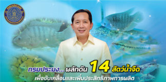 นายเฉลิมชัย สุวรรณรักษ์ อธิบดีกรมประมง ผลักดัน 14 สัตว์น้ำจืด มุ่งยกระดับเศรษฐกิจการเพาะเลี้ยงสัตว์น้ำไทย