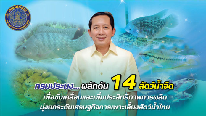 นายเฉลิมชัย สุวรรณรักษ์ อธิบดีกรมประมง ผลักดัน 14 สัตว์น้ำจืด มุ่งยกระดับเศรษฐกิจการเพาะเลี้ยงสัตว์น้ำไทย