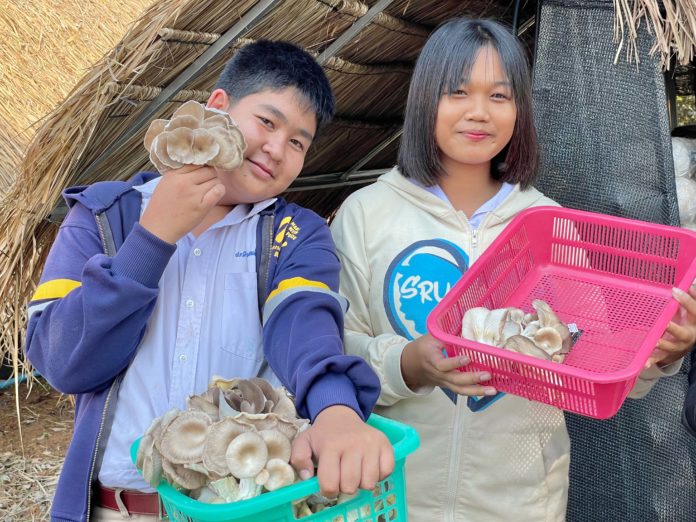 พลิกแปลงเกษตรในโรงเรียนสู่ Smart Farming 