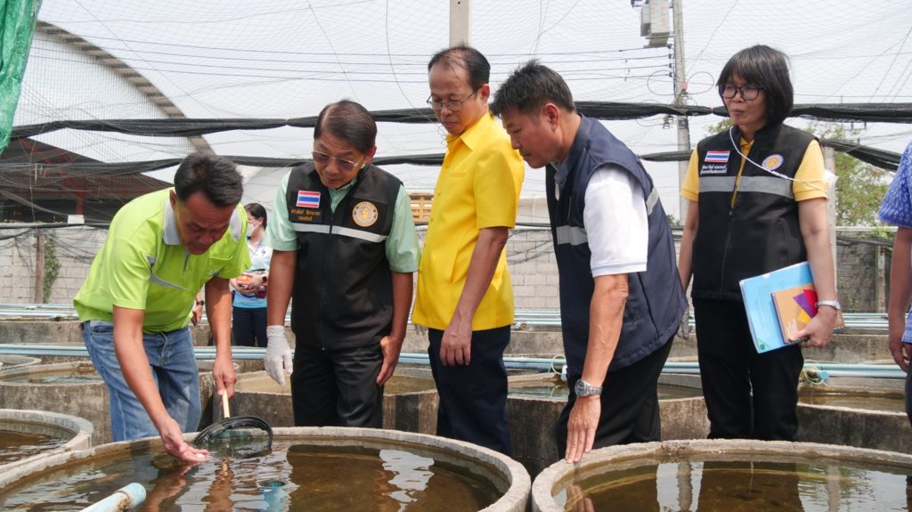 กรมประมงปลื้ม !!! โชว์ผลสำเร็จเกษตรกรเข้มแข็งหลังเข้าร่วม “แปลงใหญ่ปลาสวยงาม @จังหวัดราชบุรี”