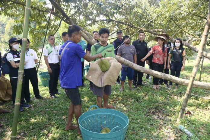 มาตรการและแผนบริหารจัดการไม้ผลภาคตะวันออก (ระยอง จันทบุรี ตราด) ปี 2566