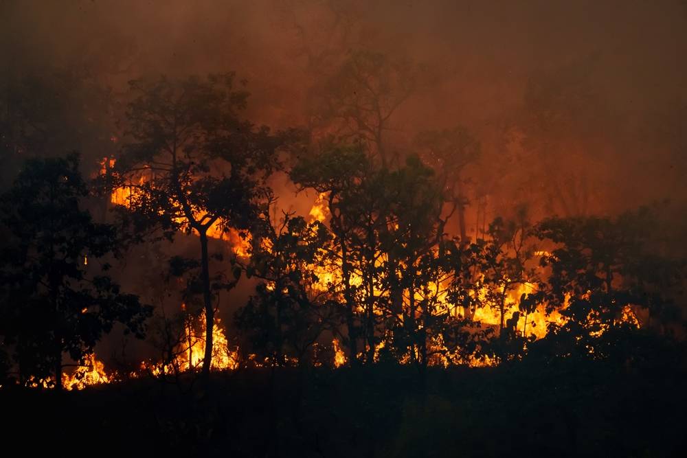 สื่อเมียนมาร์เผยข้อมูลจากรัฐฉาน เหตุเกิดจุดความร้อนมาจากพื้นที่ป่า ไม่ใช่ที่เพาะปลูก