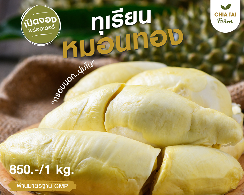 เจียไต๋ฟาร์มชวนคนรักทุเรียนมาอิ่มอร่อย จุใจไปกับบุฟเฟ่ต์ทุเรียนหมอนทองสุดพรีเมียม