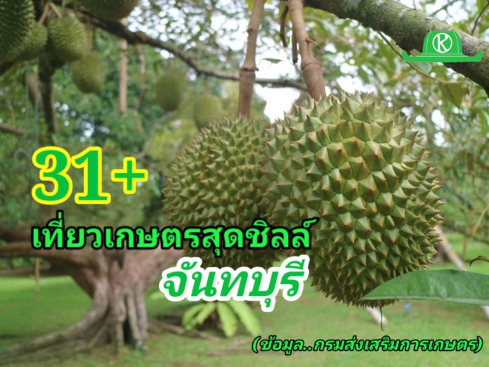 จังหวัดจันทบุรีเปิด 31+ แหล่งท่องเที่ยวเกษตรสุดชิลล์ พร้อมเบอร์โทร.ติดต่อได้เลย