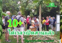 10 วิธีเตรียมความพร้อมต้อนรับนักท่องเที่ยวให้เลี้ยวมาเที่ยวสวน