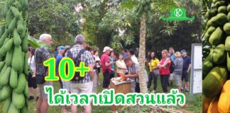 10 วิธีเตรียมความพร้อมต้อนรับนักท่องเที่ยวให้เลี้ยวมาเที่ยวสวน