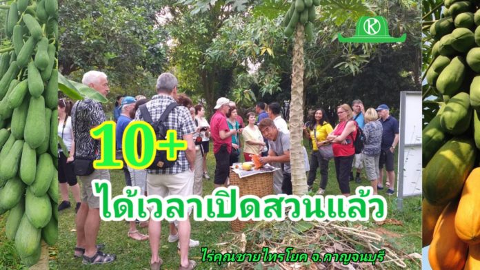 10 วิธีเตรียมความพร้อมต้อนรับนักท่องเที่ยวให้เลี้ยวมาเที่ยวสวน