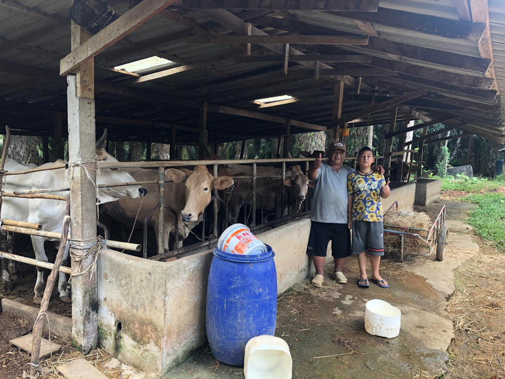 สหกรณ์ฯท่าแพเดินหน้านโยบาย “ร่วมใจแก้จน” หนุนปลูก “สละ-เกษตรวิถีใหม่” เพิ่มรายได้ช่วงเว้นว่างกรีดยาง