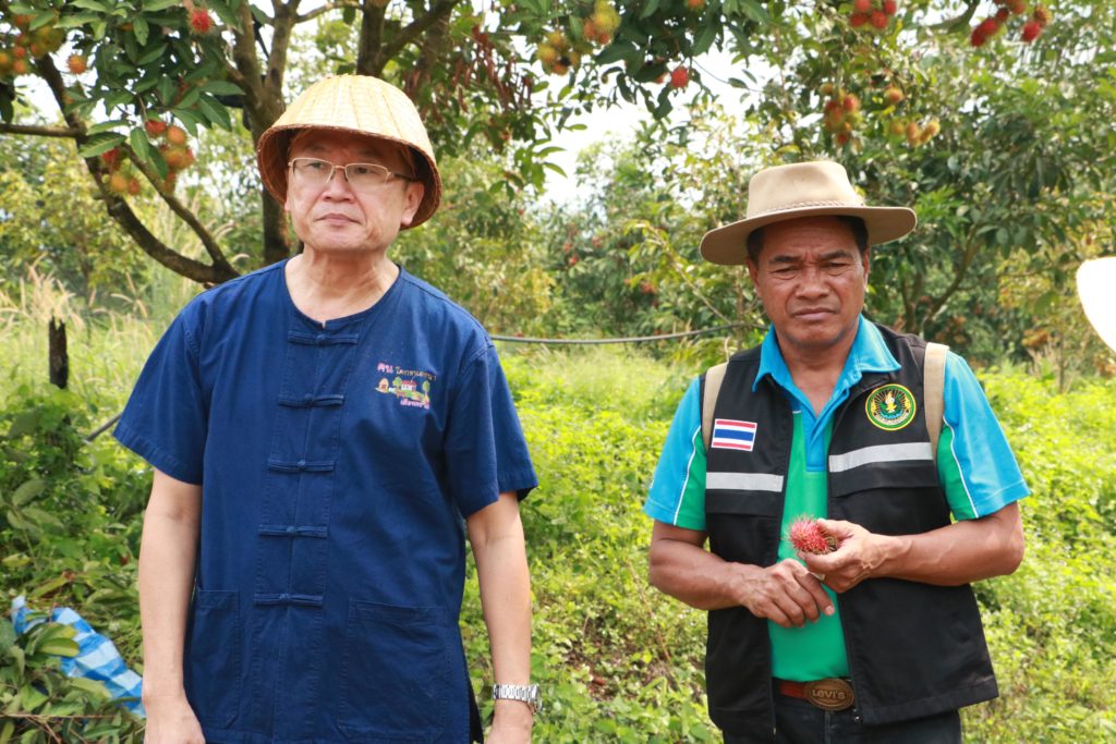 เคาะแผนป้องกันเกษตรกรเร่งสีและความสุกเงาะพันธุ์สีทอง จ.ตราด