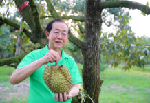 เยี่ยมชมงานสวนคุณตุ้ม - คุณตู่ จังหวัดระยอง