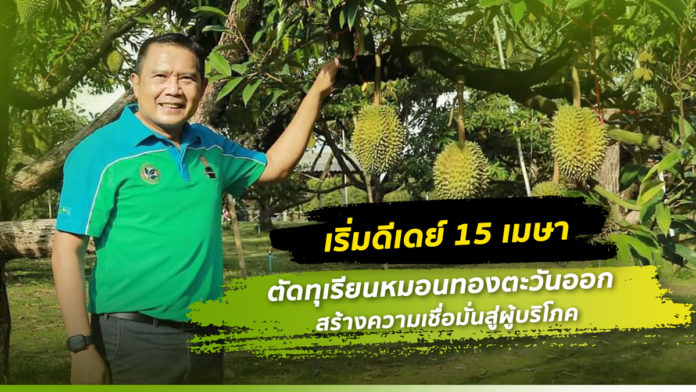 เริ่มดีเดย์ 15 เมษา ตัดทุเรียนหมอนทองตะวันออก สร้างความเชื่อมั่นสู่ผู้บริโภค ไร้ทุเรียนอ่อนจำหน่าย