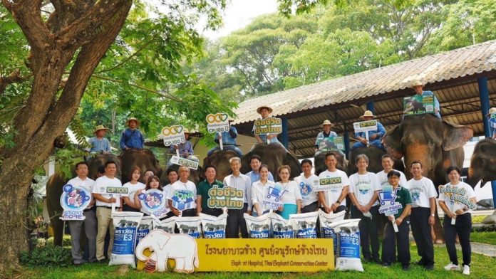 'CPF-พันธมิตร-คู่ค้า' มอบอาหารช้างคุณภาพ ต่อชีวิตกลุ่มช้างเปราะบาง ศูนย์อนุรักษ์ช้างไทย จ.ลำปาง