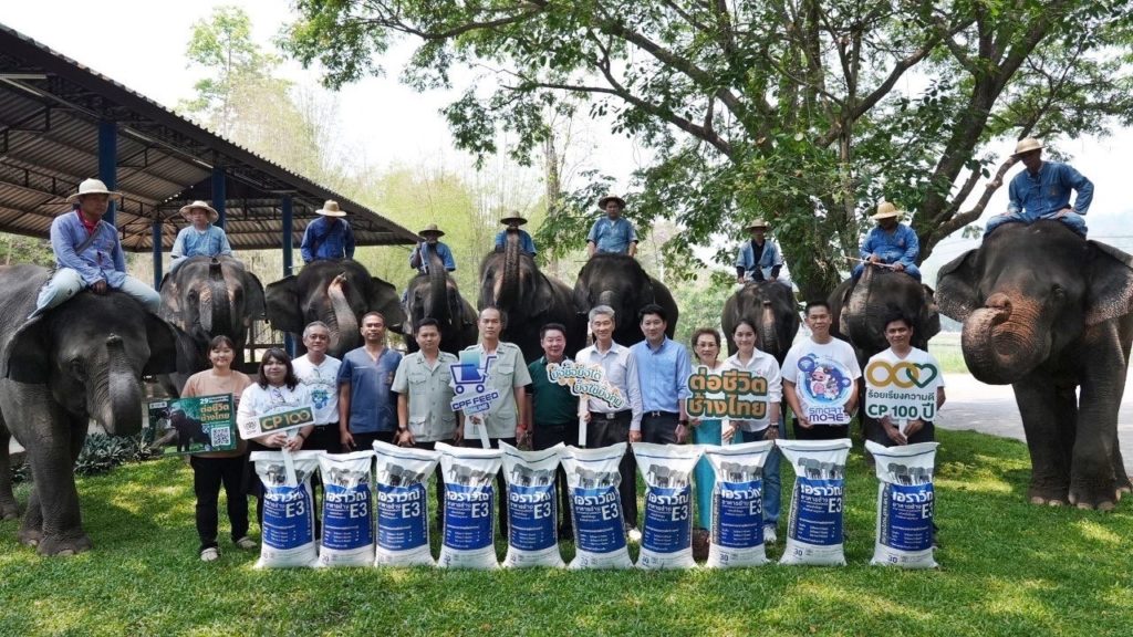 'CPF-พันธมิตร-คู่ค้า' มอบอาหารช้างคุณภาพ ต่อชีวิตกลุ่มช้างเปราะบาง ศูนย์อนุรักษ์ช้างไทย จ.ลำปาง