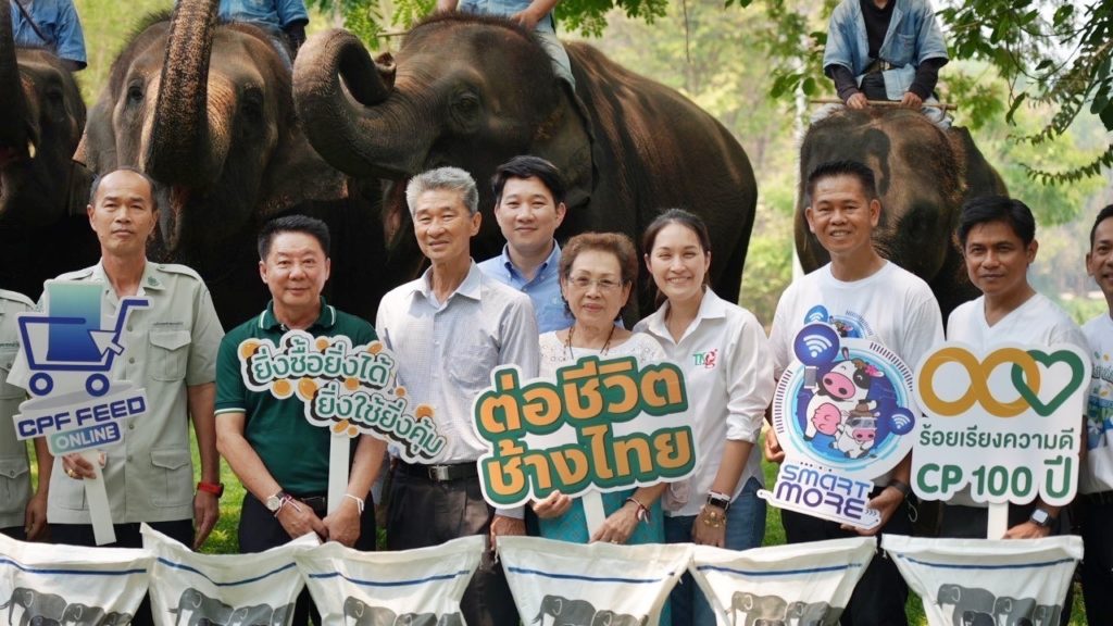 'CPF-พันธมิตร-คู่ค้า' มอบอาหารช้างคุณภาพ ต่อชีวิตกลุ่มช้างเปราะบาง ศูนย์อนุรักษ์ช้างไทย จ.ลำปาง