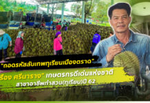 ถอดรหัสลับเทพทุเรียนเมืองตราด "เรือง ศรีนาราง" เกษตรกรดีเด่นแห่งชาติ สาขาอาชีพทำสวน(ทุเรียน) ปี 62 ของกรมส่งเสริมการเกษตร