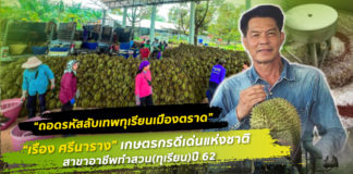 ถอดรหัสลับเทพทุเรียนเมืองตราด "เรือง ศรีนาราง" เกษตรกรดีเด่นแห่งชาติ สาขาอาชีพทำสวน(ทุเรียน) ปี 62 ของกรมส่งเสริมการเกษตร