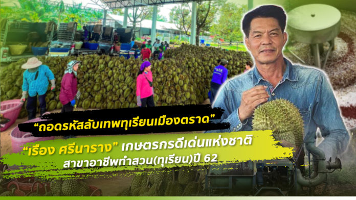 ถอดรหัสลับเทพทุเรียนเมืองตราด 