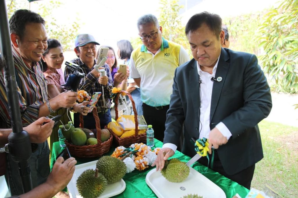 ทุเรียน ม.เกษตรฯ ลูกละ 5,000 บาท เพื่อสมทบทุนสร้าง รพ.เกษตรศาสตร์